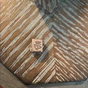 Textbook pandora charm